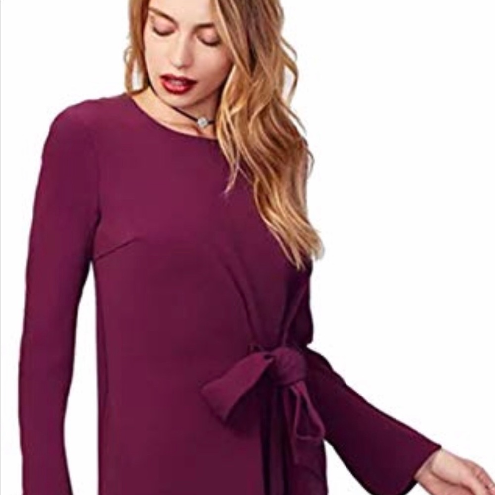 Rachel Roy plum dress
